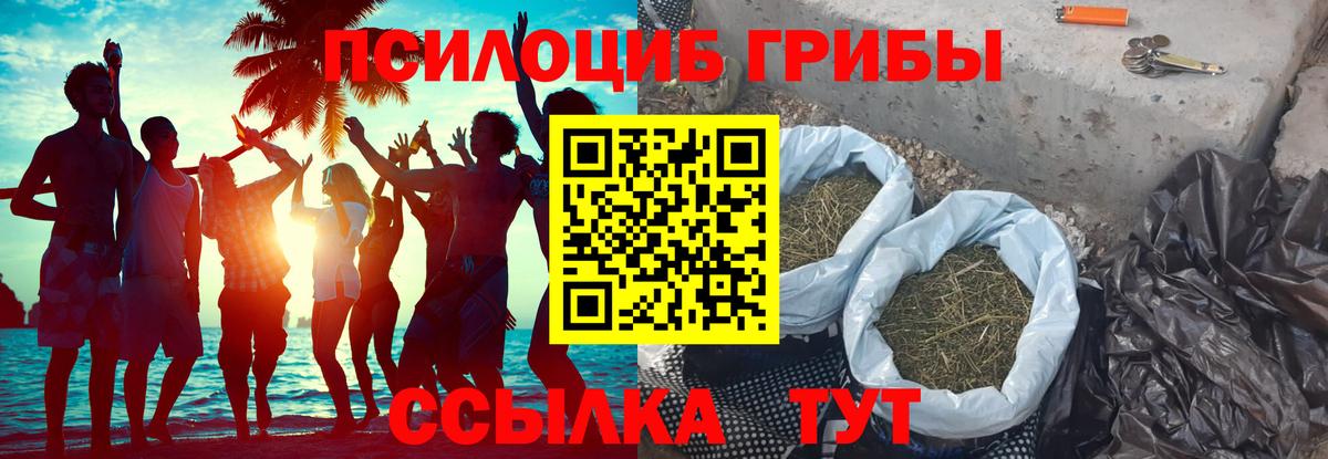 что такое   Псилоцибиновые грибы мицелий  Железноводск  Вход с VPN  Псилоцибиновые грибы мухоморы 