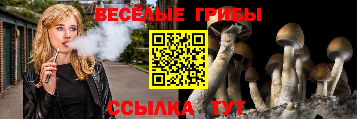 Псилоцибиновые грибы прущие грибы Железноводск